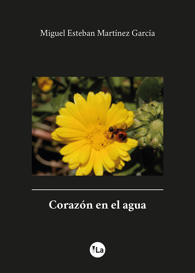 Corazón en el agua