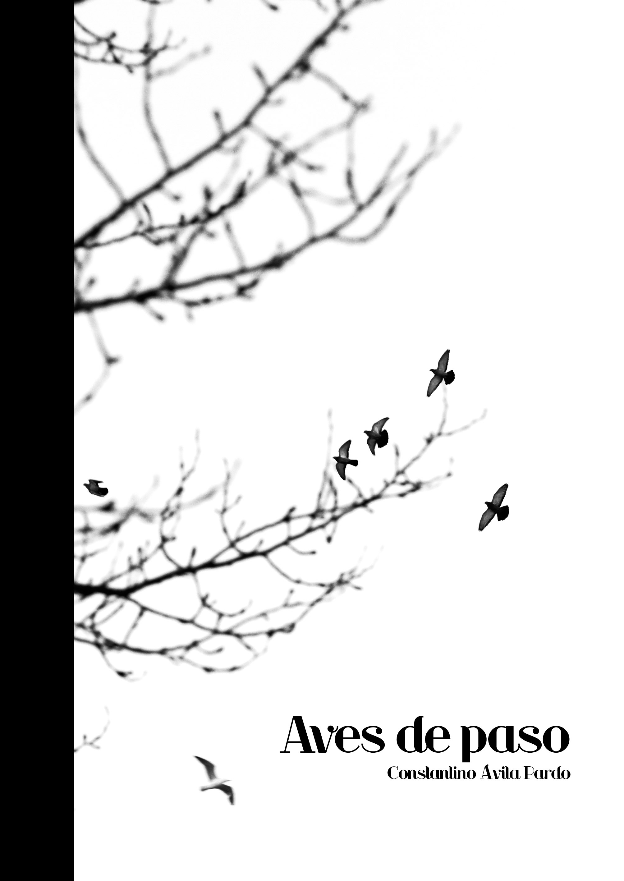 Aves de paso