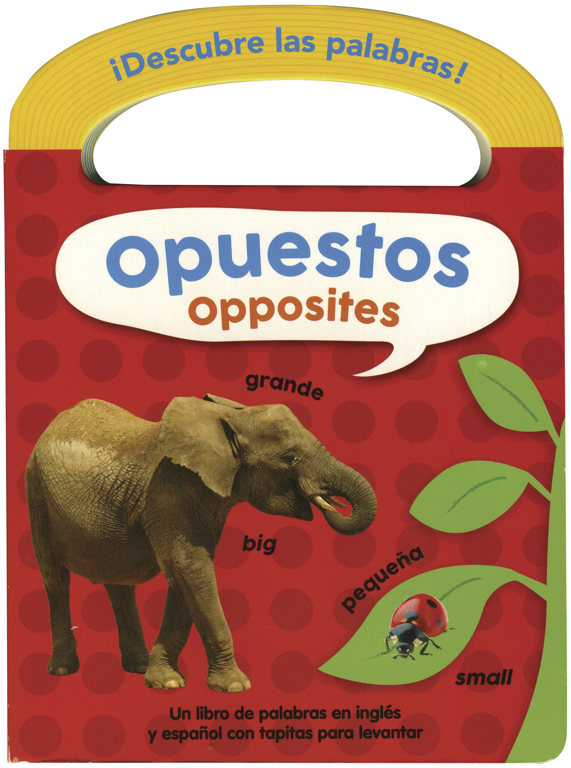 Descubre Las Palabras Opuestos