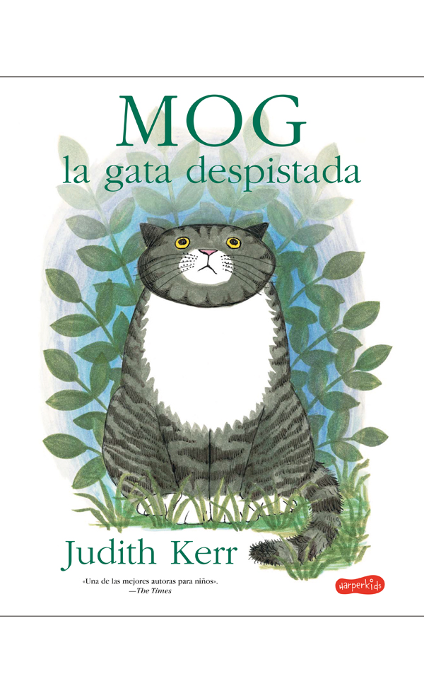 Mog, la gata despistada