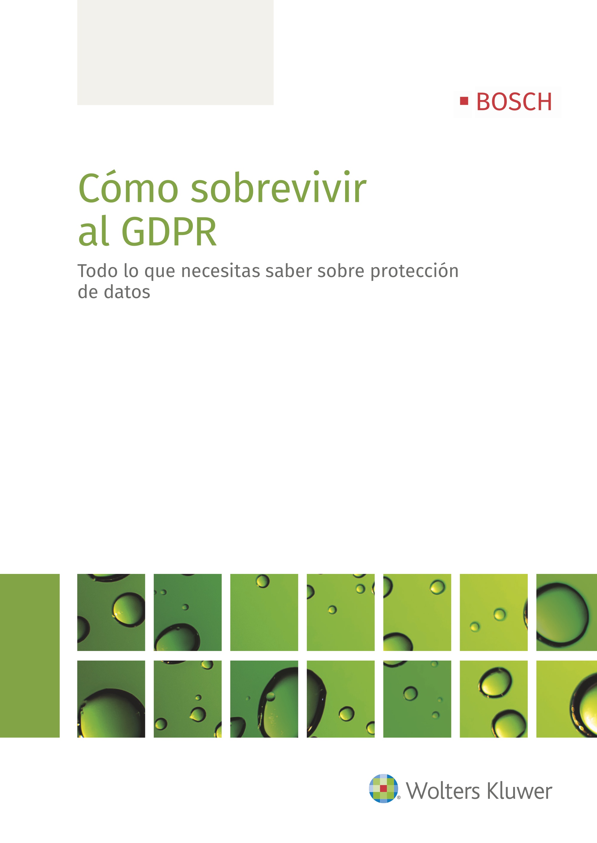 Cómo sobrevivir al GDPR