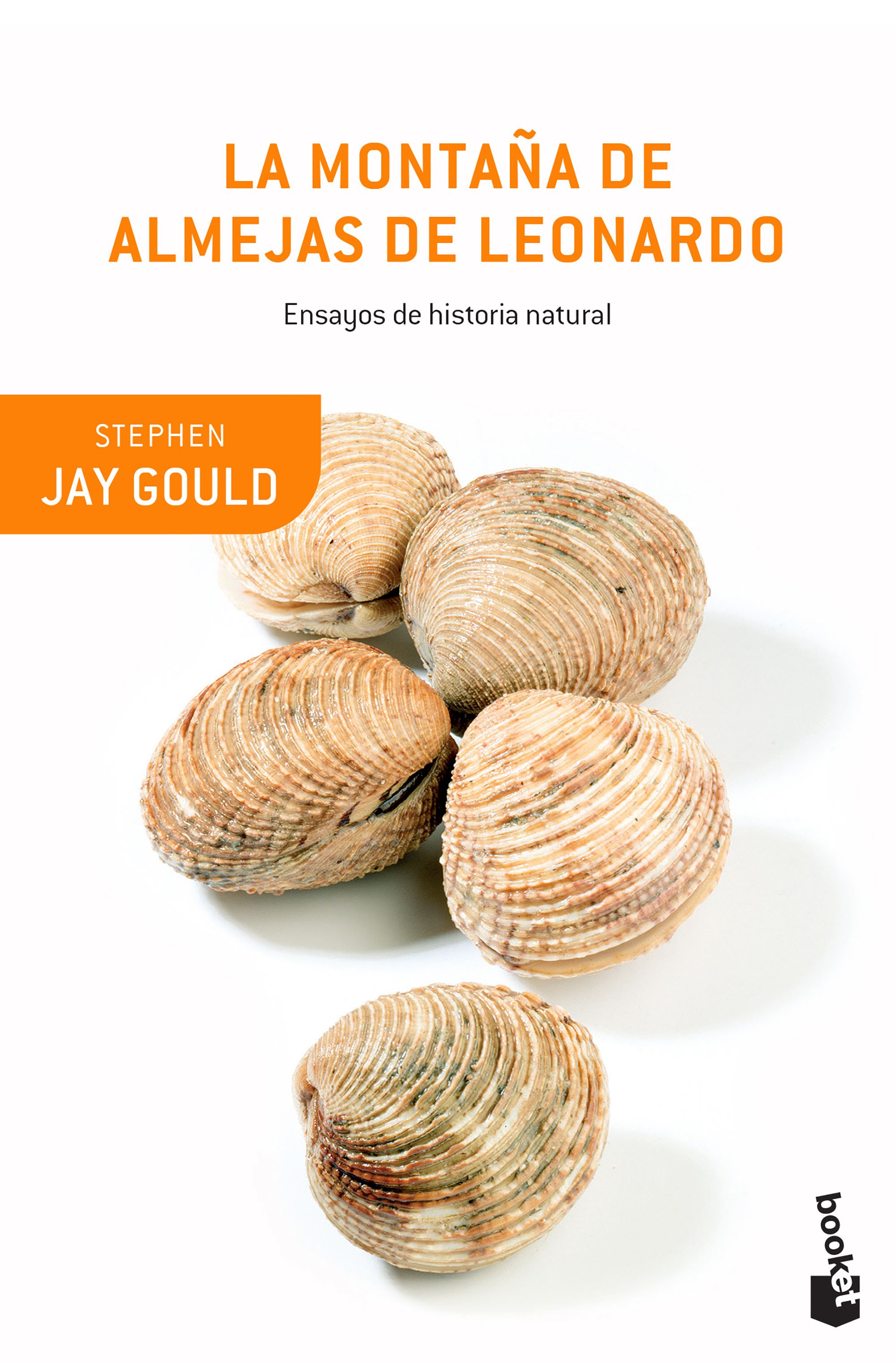 La montaña de almejas de Leonardo