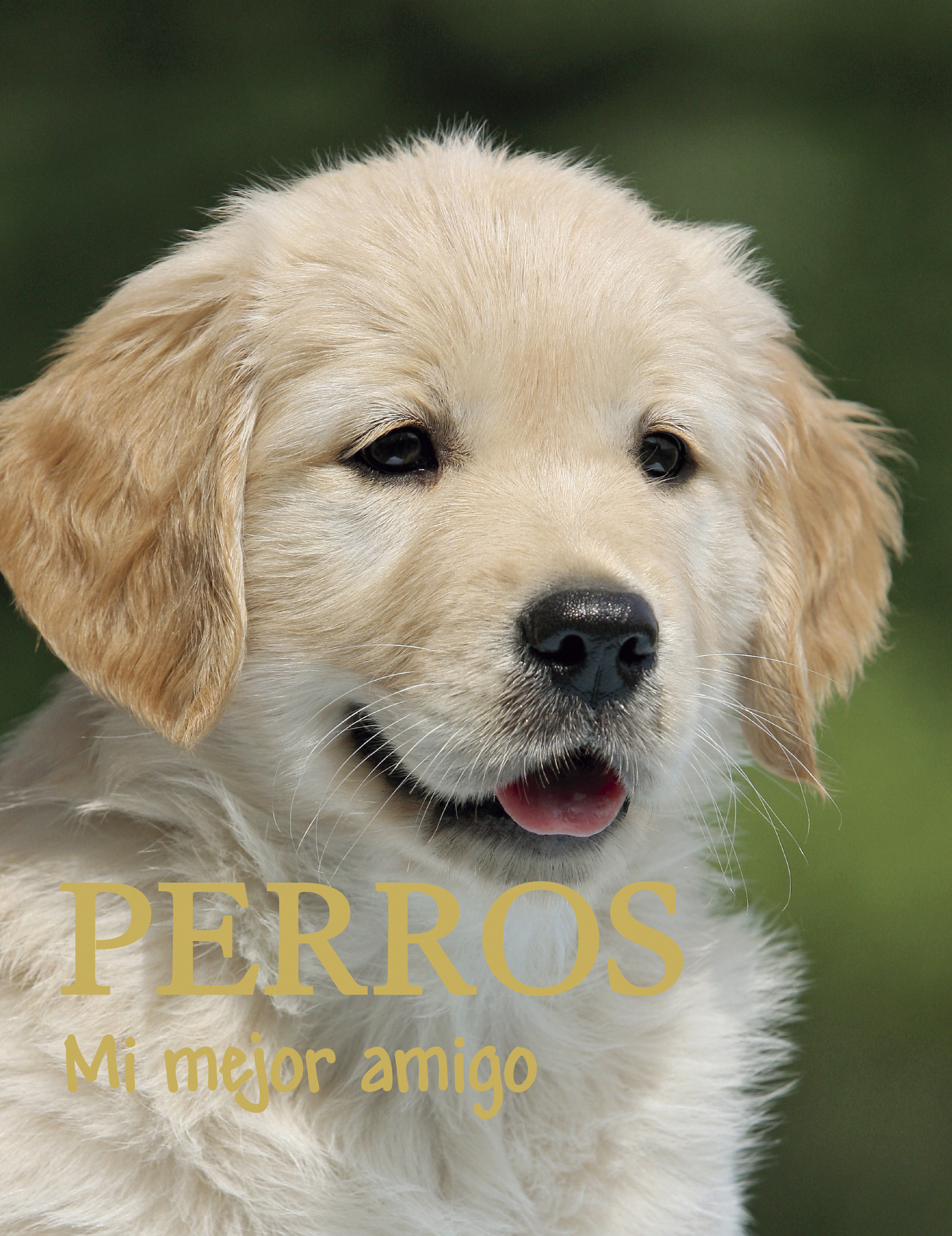 Mi Mejor Amigo: Perros