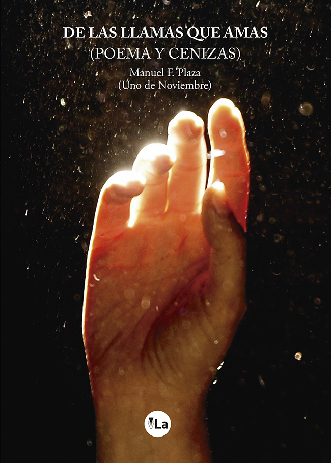 De las llamas que amas (poema y cenizas)