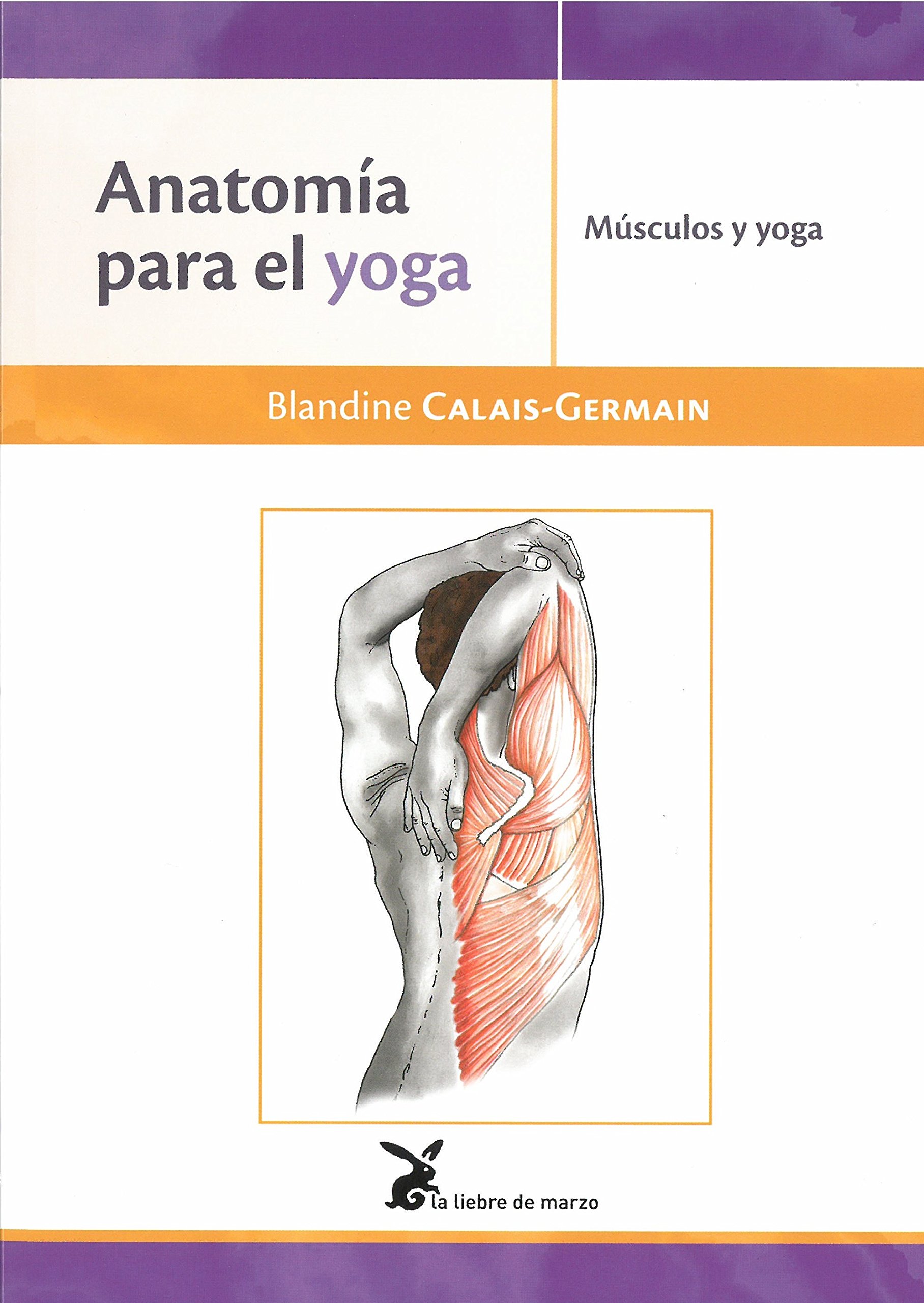 Anatomía para el yoga
