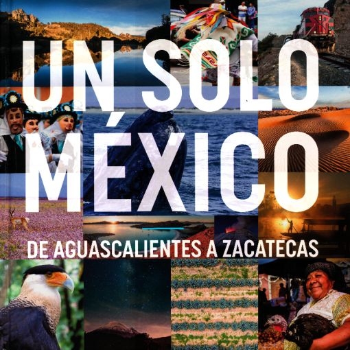 Un solo México