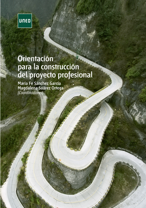 Orientación para la construcción del proyecto profesional