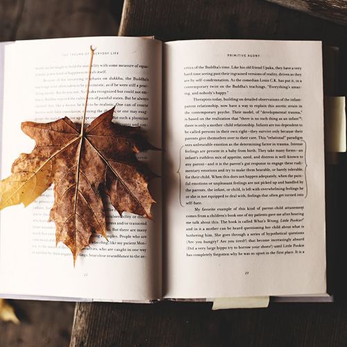 Los libros que tienes que leer en octubre
