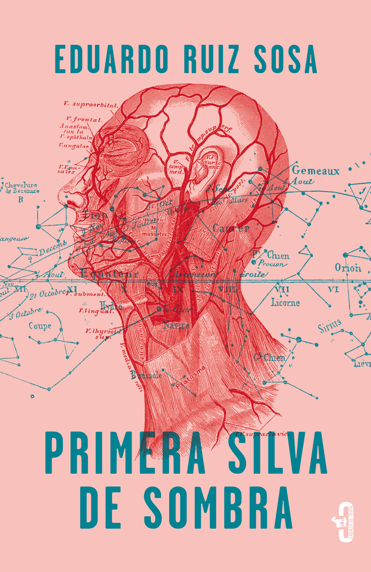 Primera silva de sombra