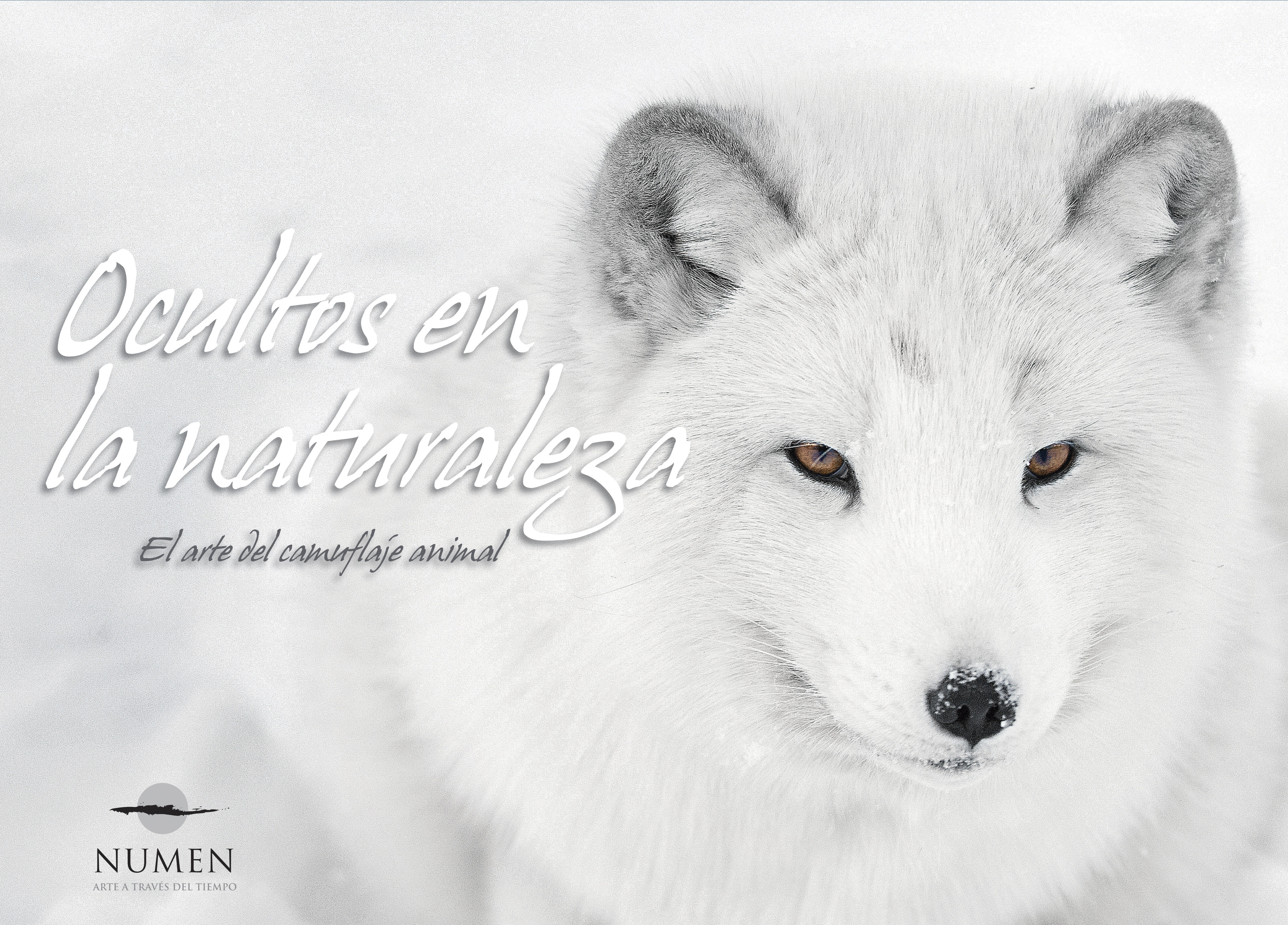 Ocultos En La Naturaleza