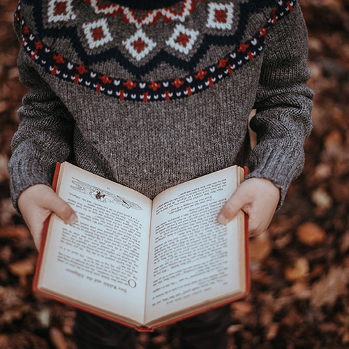 Los libros que tienes que leer en noviembre