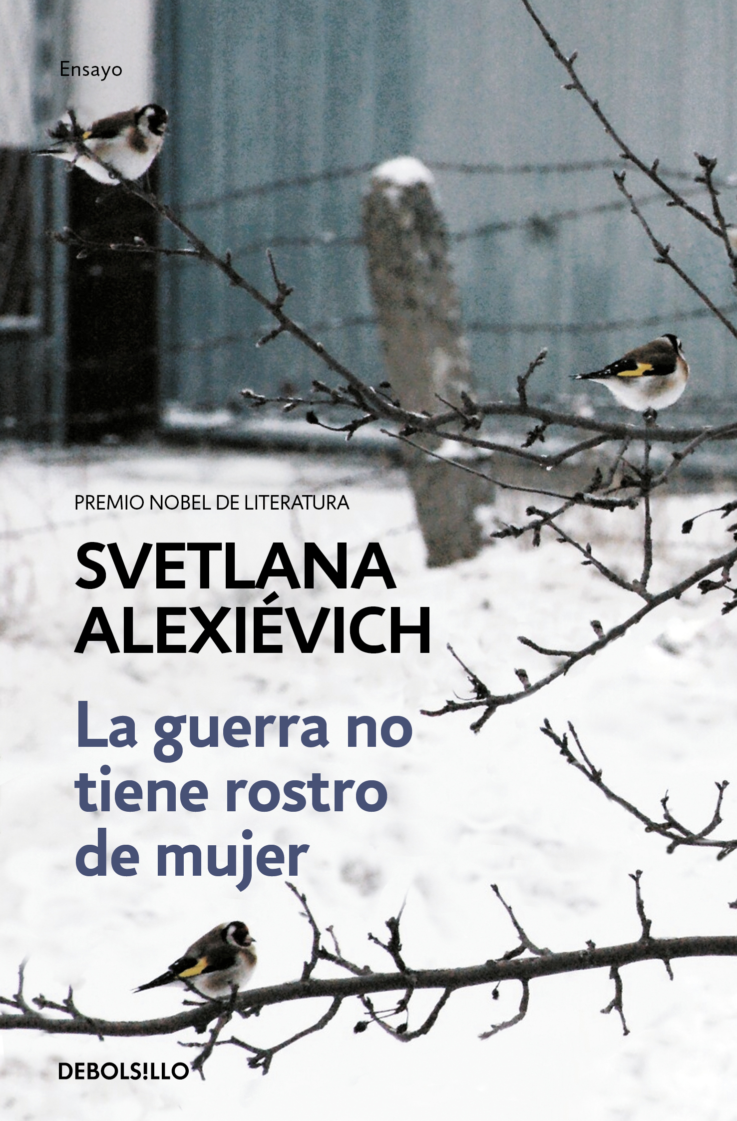 La guerra no tiene rostro de mujer