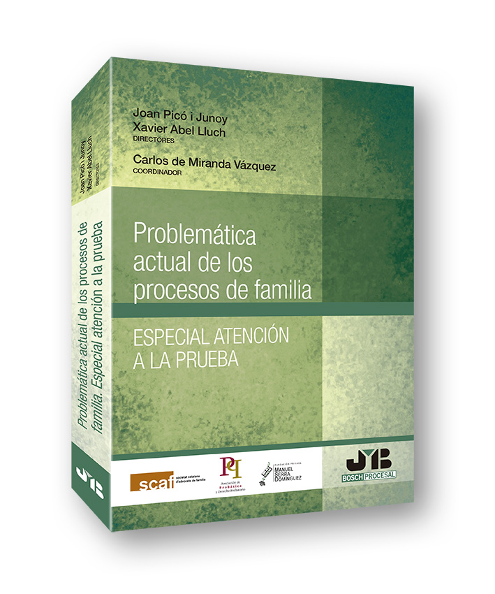 Problemática actual de los procesos de familia. Especial atención a la prueba