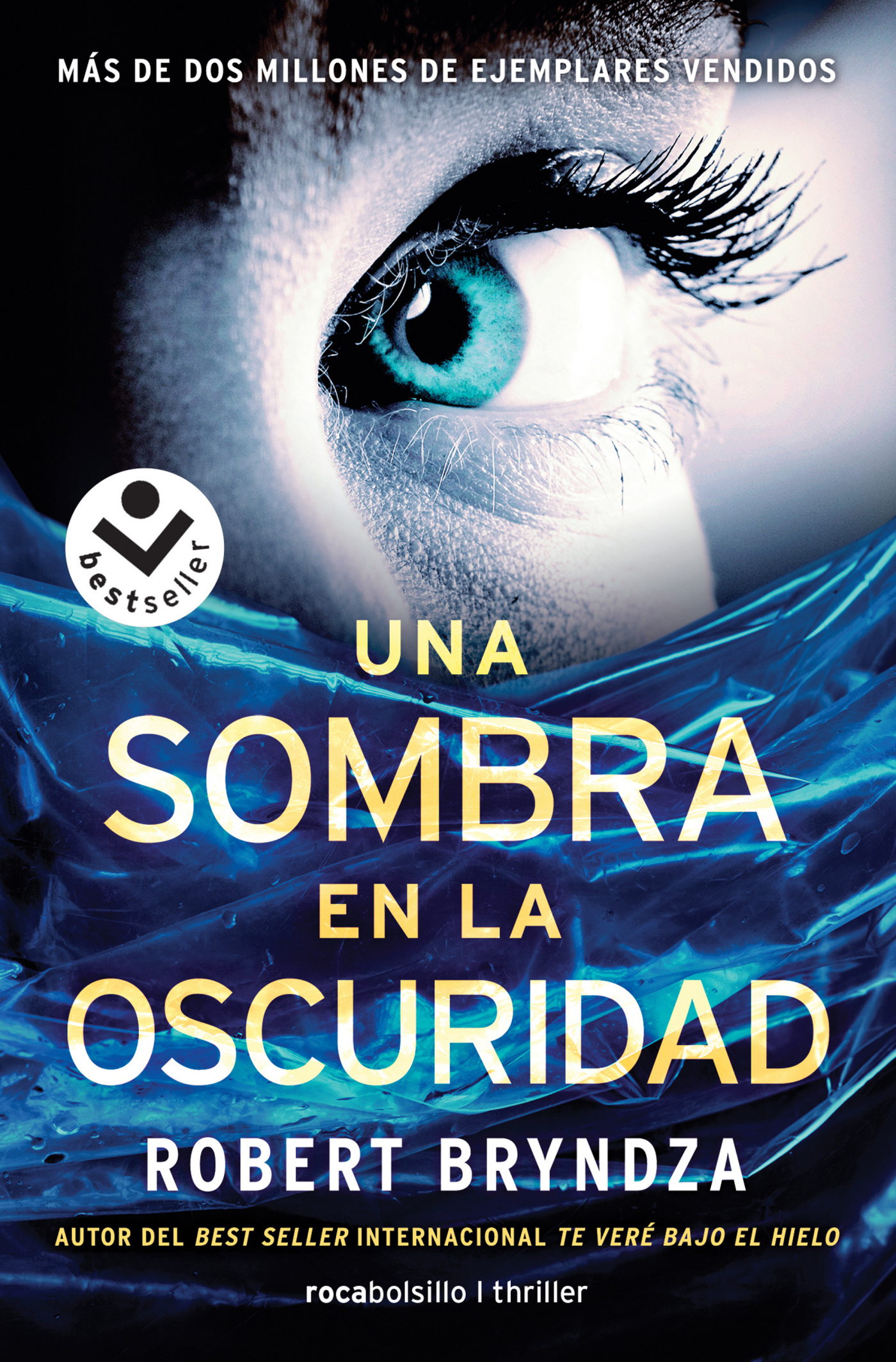 Una sombra en la oscuridad (Serie Erika Foster 2)