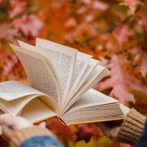 Libros para sobrevivir a la Navidad