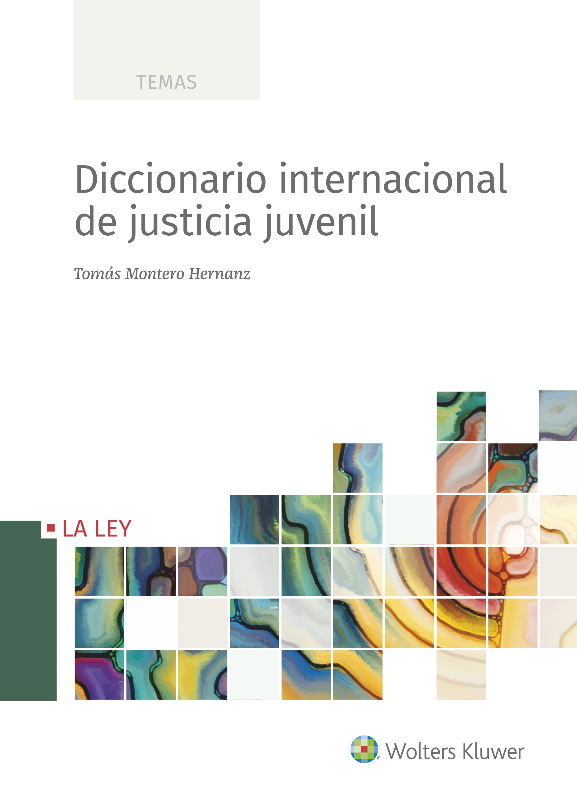 Diccionario internacional de justicia juvenil