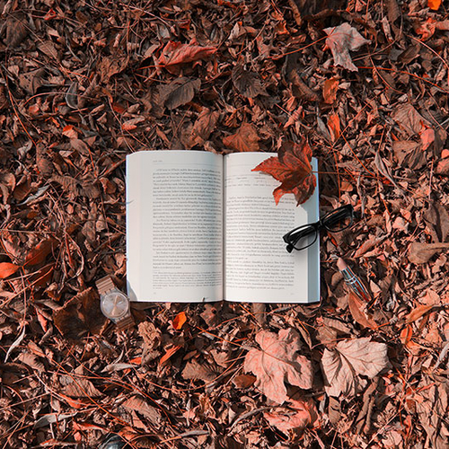 Las mejores novelas extranjeras de 2018
