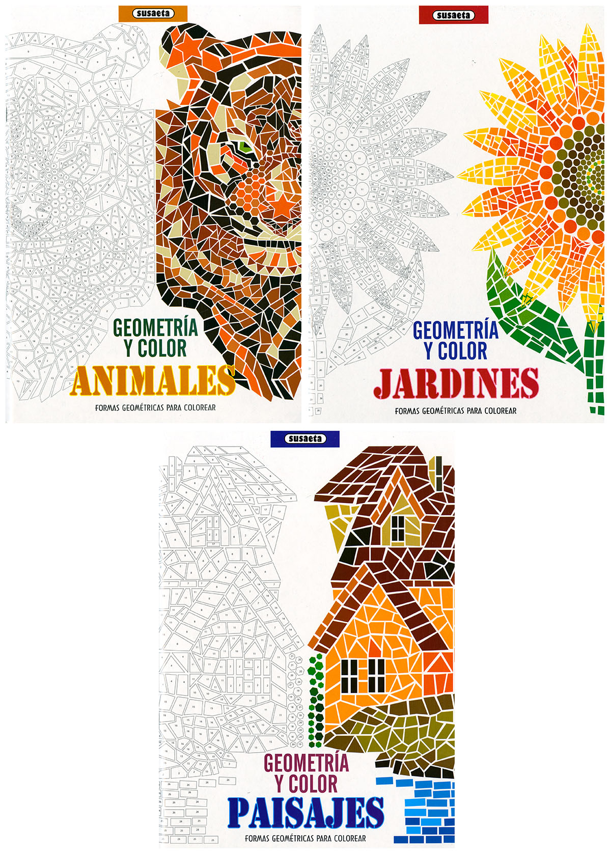 Geometría y color (3 títulos)