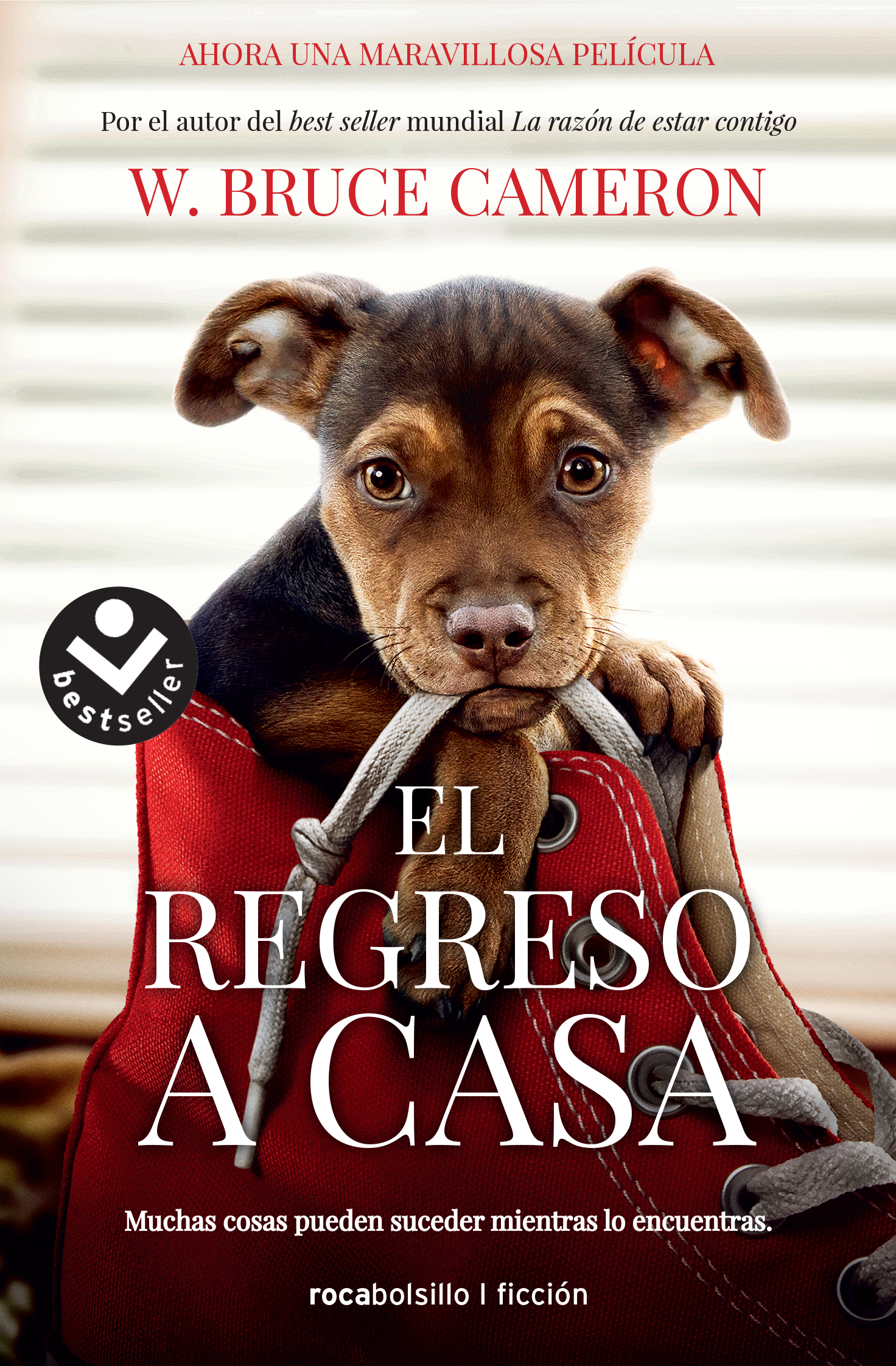 La razón de estar contigo. El regreso a casa 1 - El regreso a casa