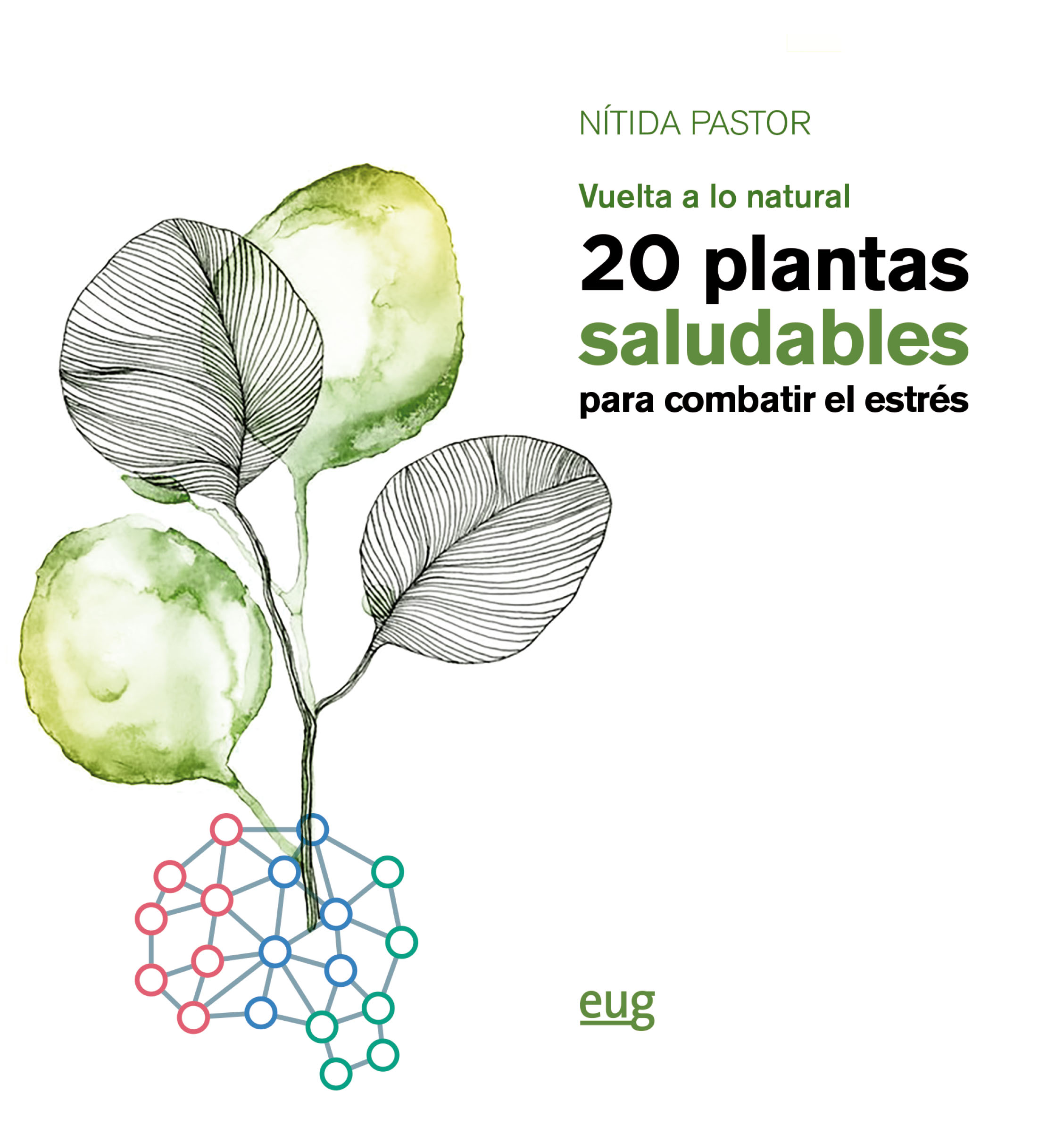 20 plantas saludables para combatir el estrés