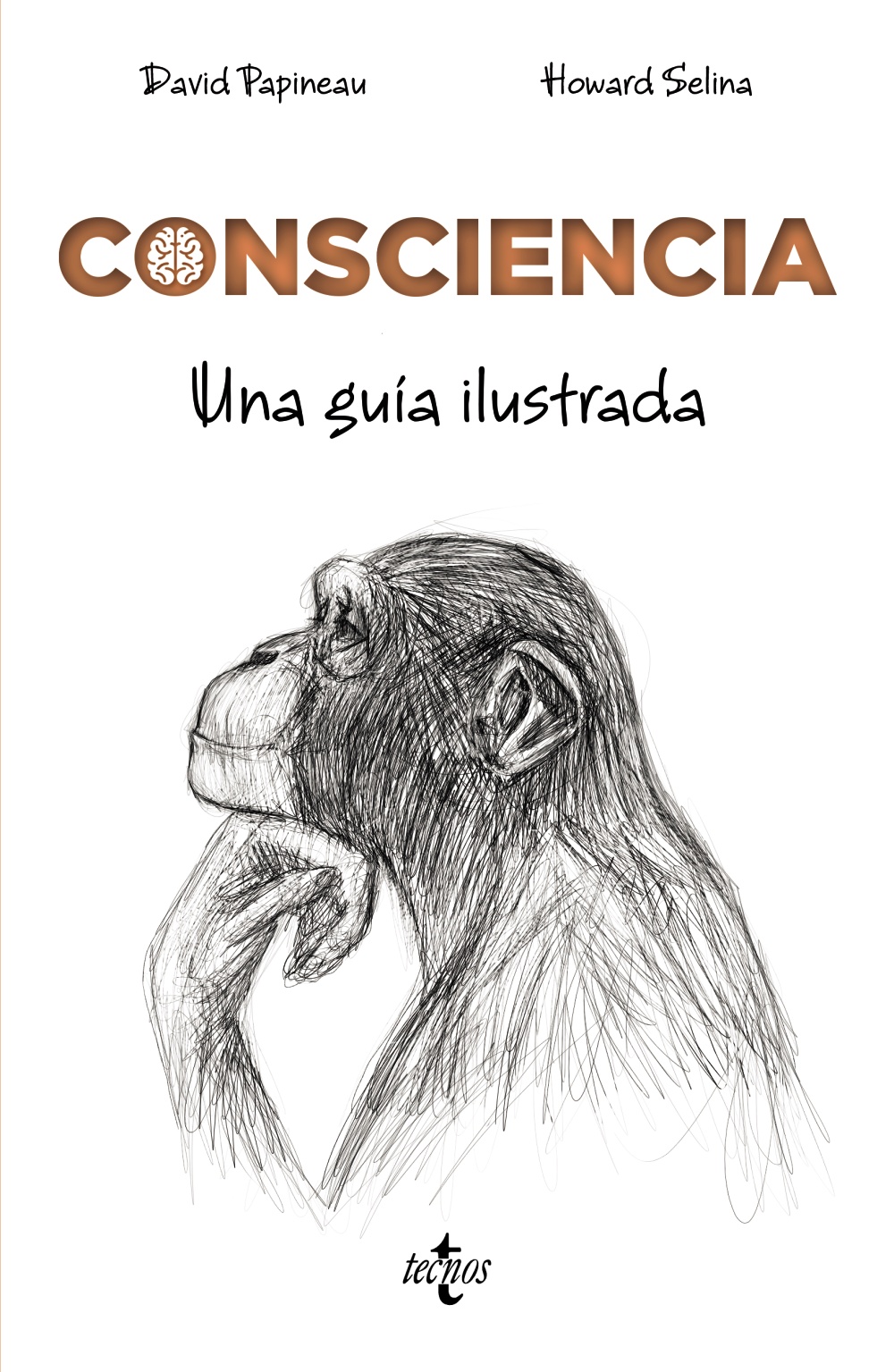 Consciencia