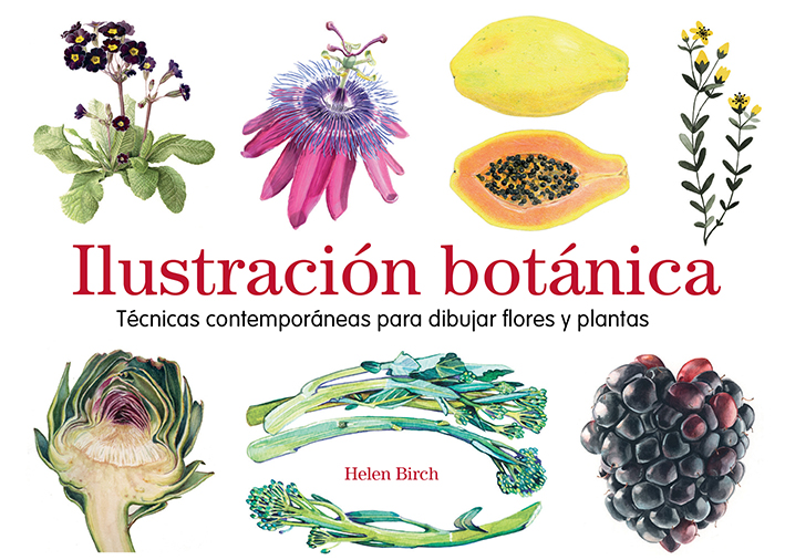 Ilustración botánica