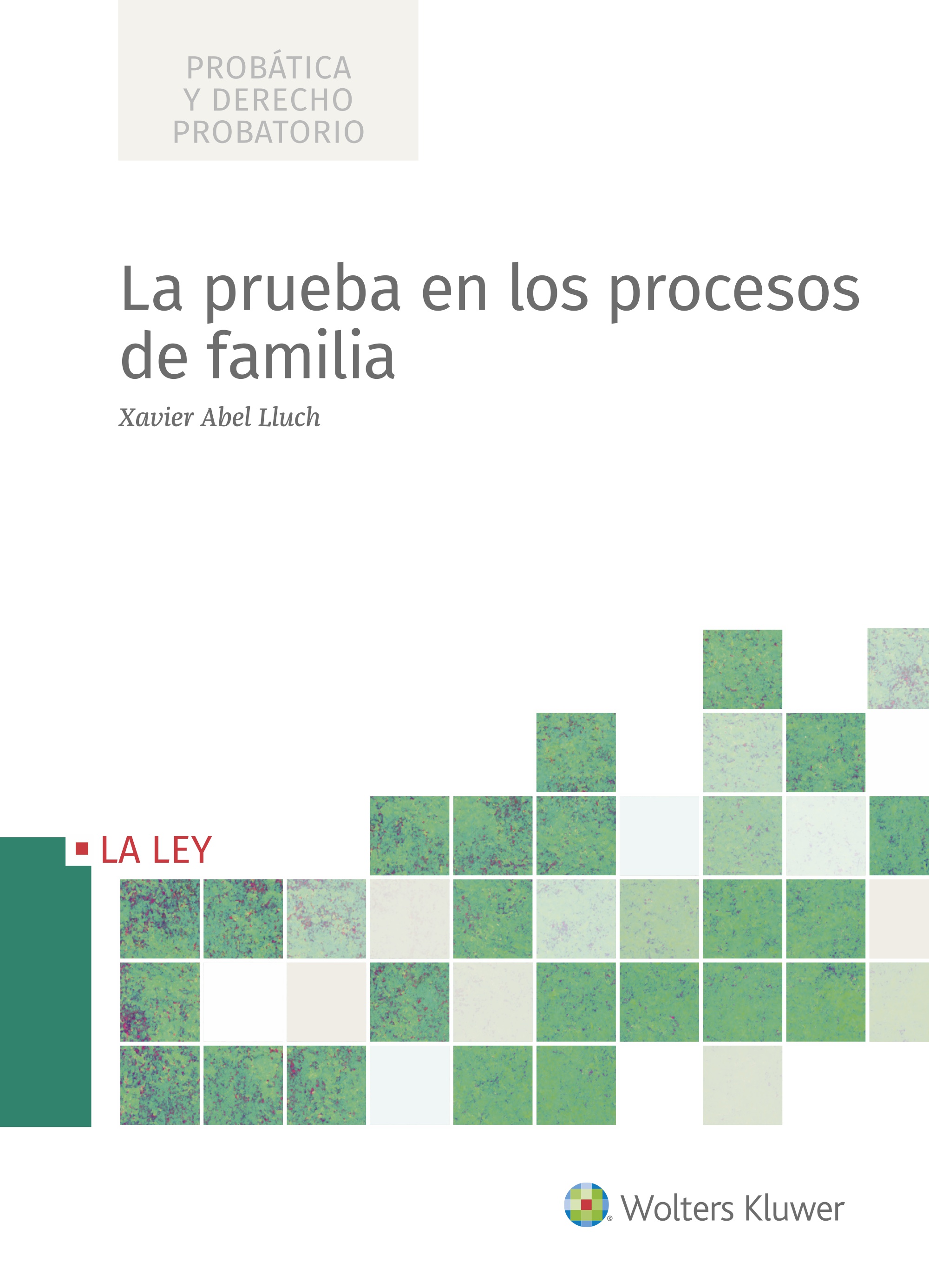La prueba en los procesos de familia