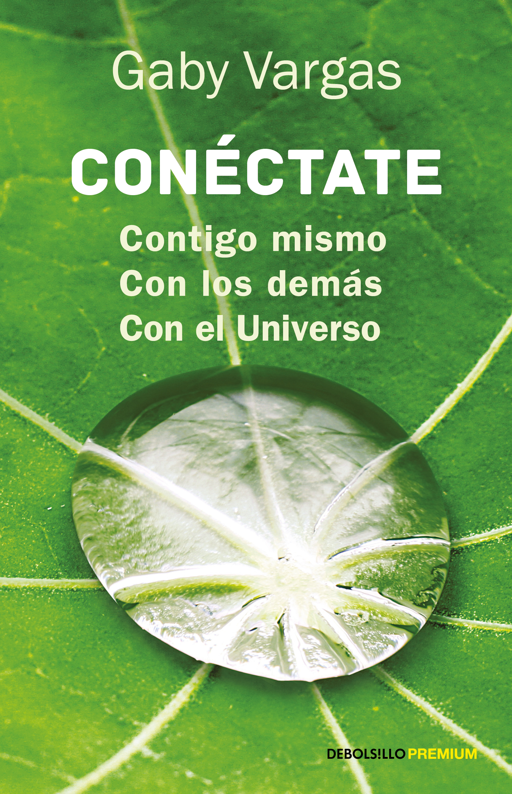 Conéctate