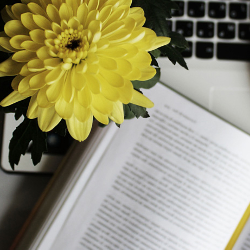 Los libros que tienes que leer esta primavera