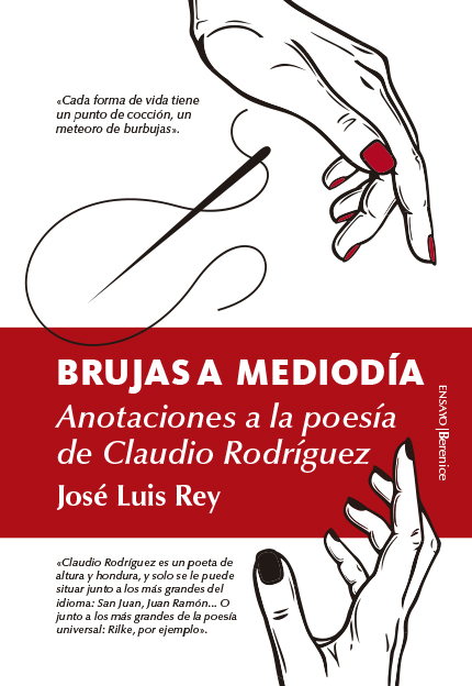 Brujas a mediodía. Anotaciones a la poesía de Claudio Rodríguez