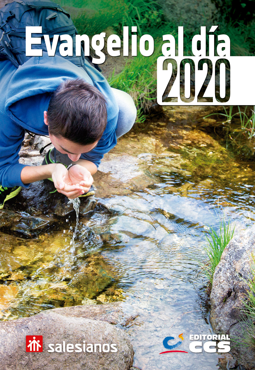 Evangelio al día 2020