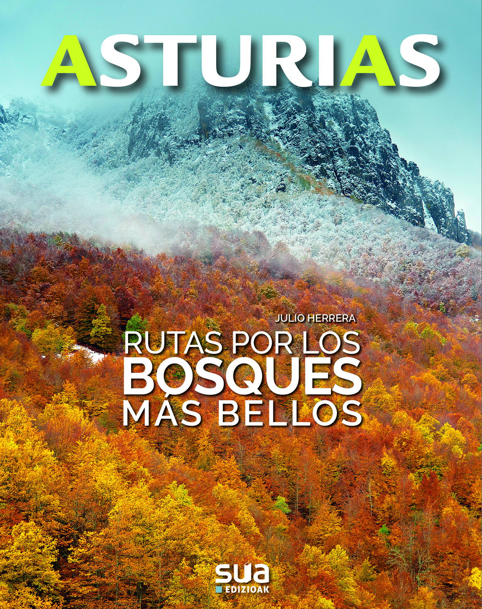 Rutas por los bosques más bellos