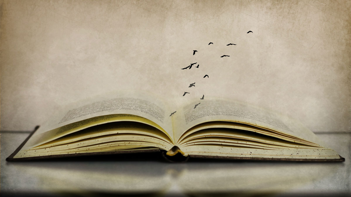 Literatura que nunca muere: los mejores libros póstumos