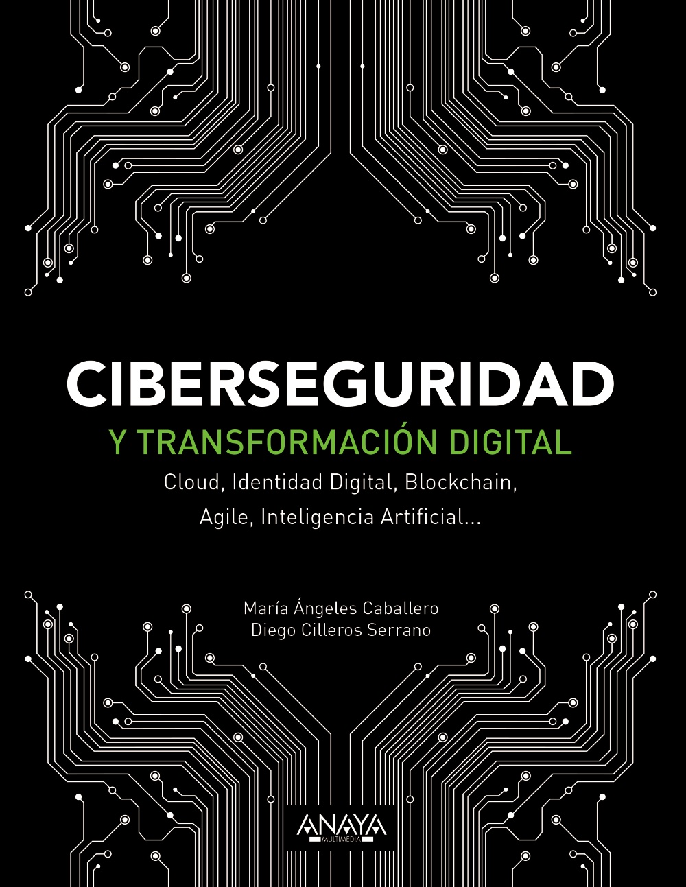 Ciberseguridad y transformación digital