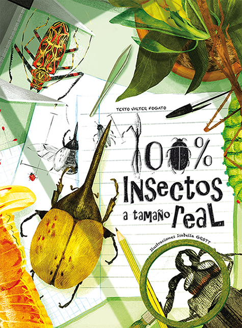 100% Insectos a tamaño real