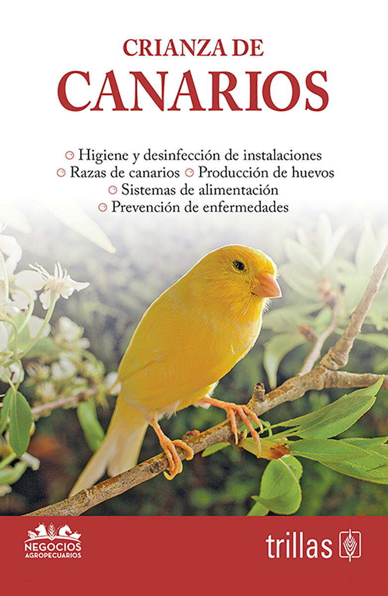Crianza de canarios