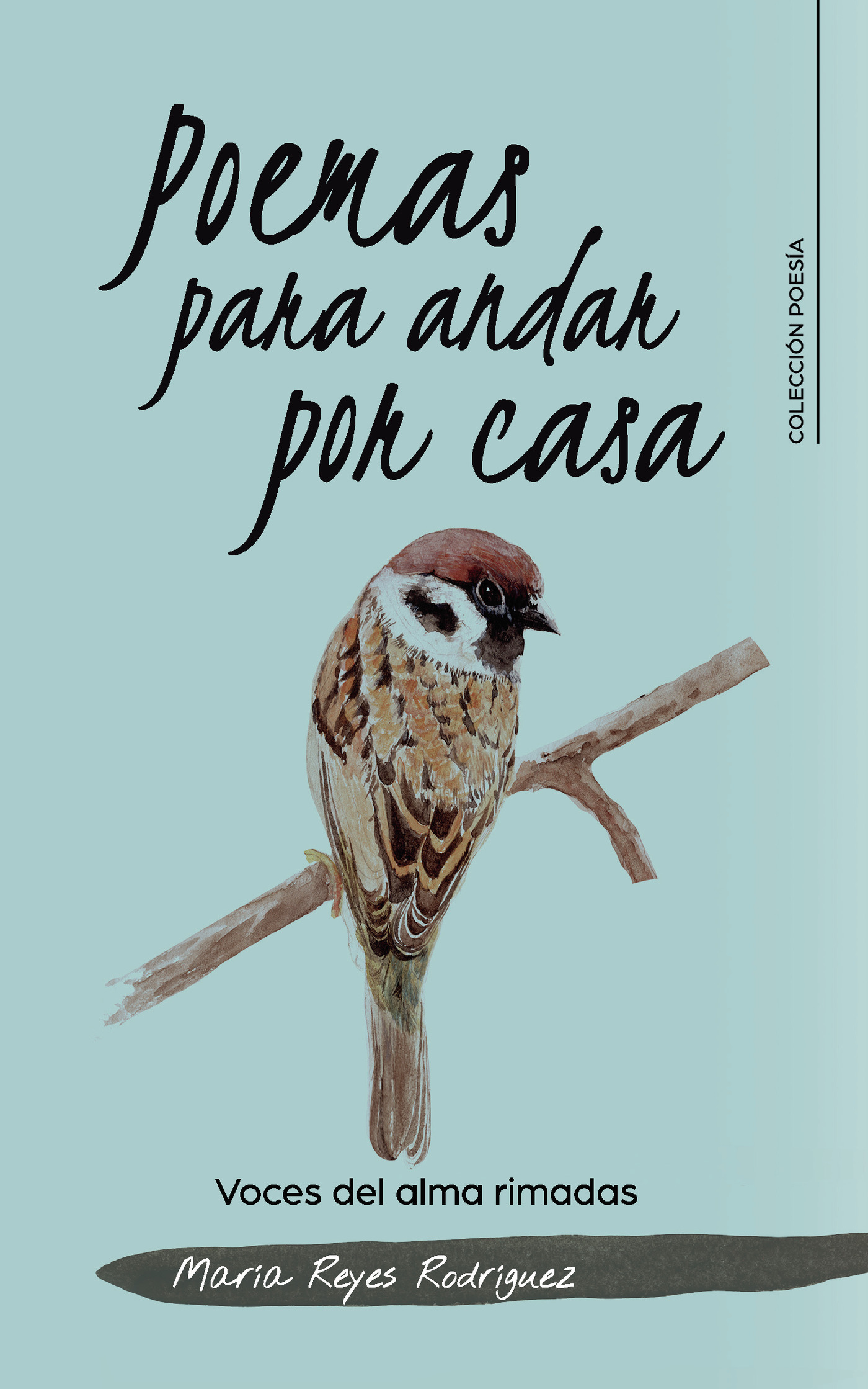 Poemas para andar por casa