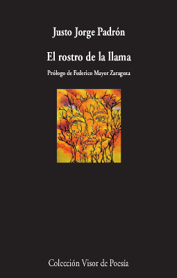 El rostro de la llama