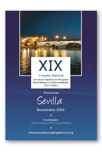Ponencias XIX Congreso Sevilla (noviembre 2019), sobre especialización en responsabilidad civil y seguro