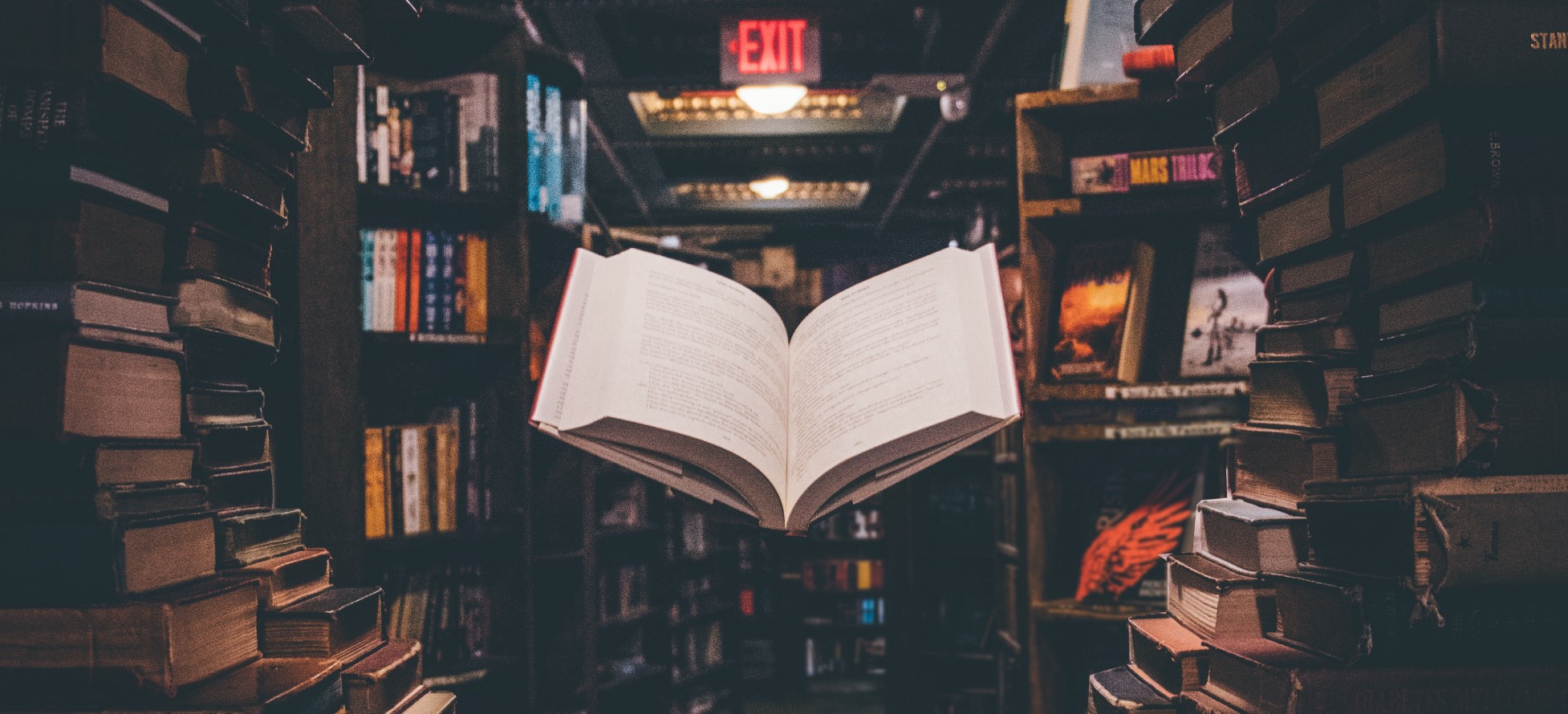 Las mejores novelas del rey del terror, Stephen King