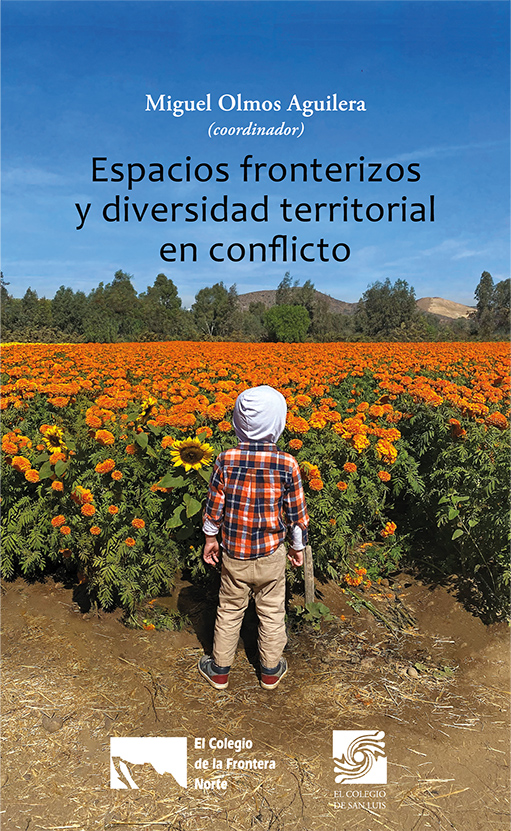 Reconfiguración de las identidades religiosas en México: Diversidad religiosa (Tomo 2)
