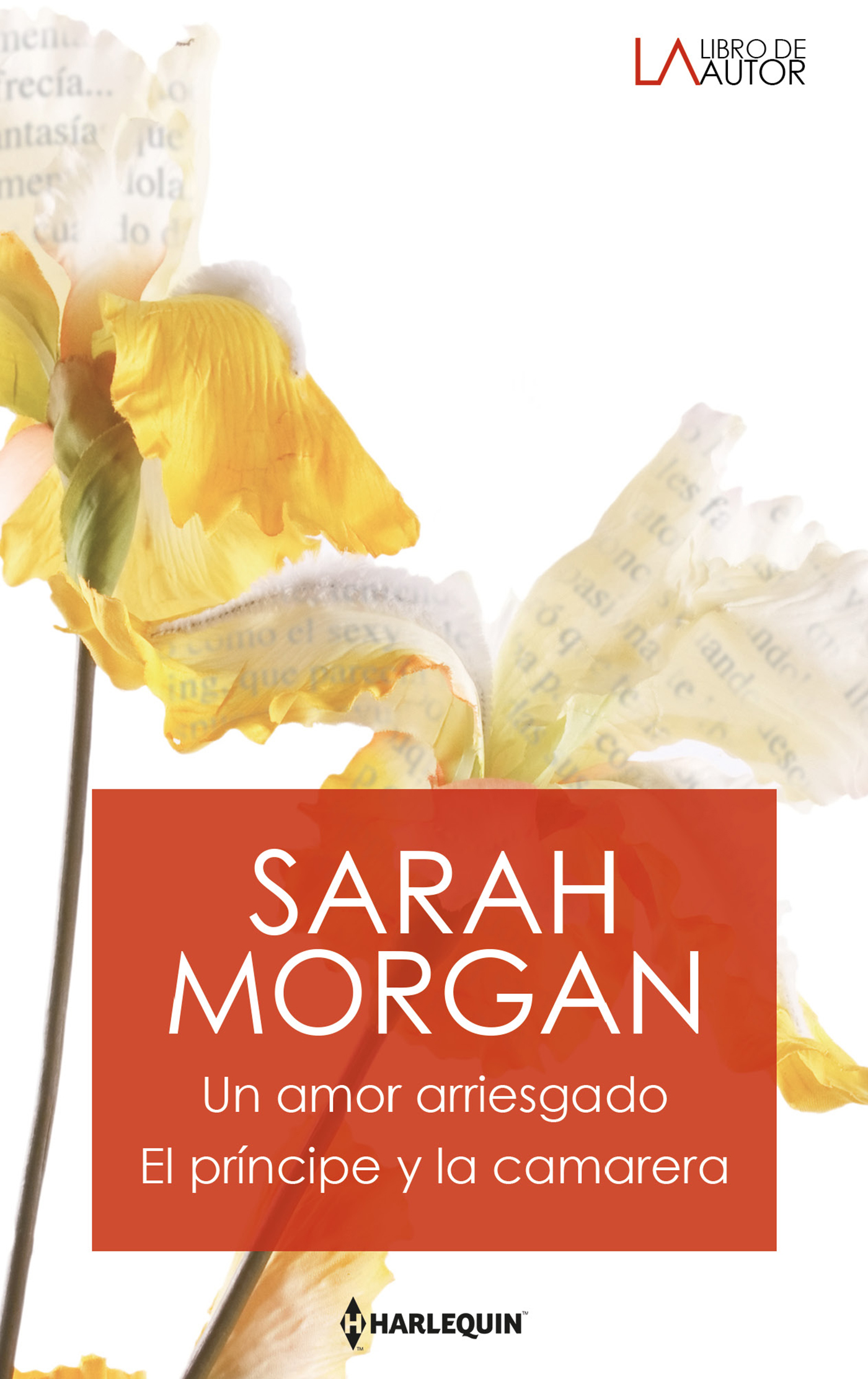 Un amor arriesgado; El príncipe y la camarera