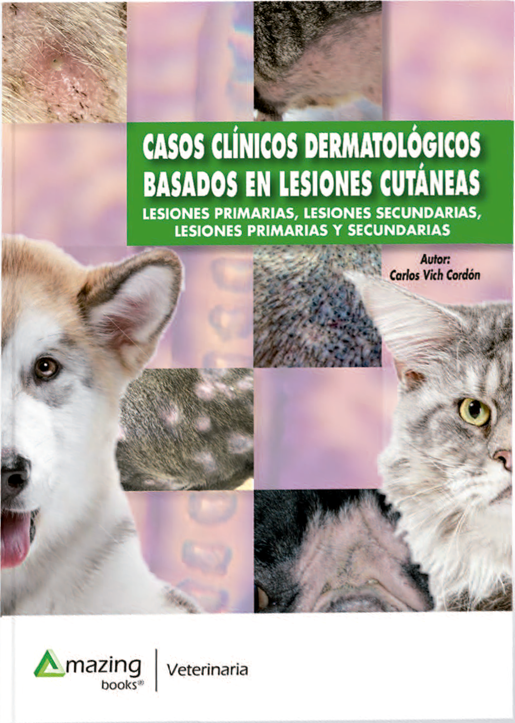 Casos clínicos dermatológicos basados en lesiones cutáneas