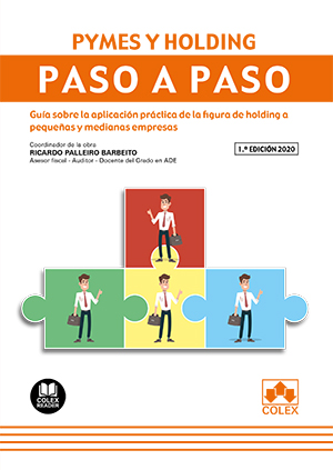 Pymes y Holding. Paso a paso