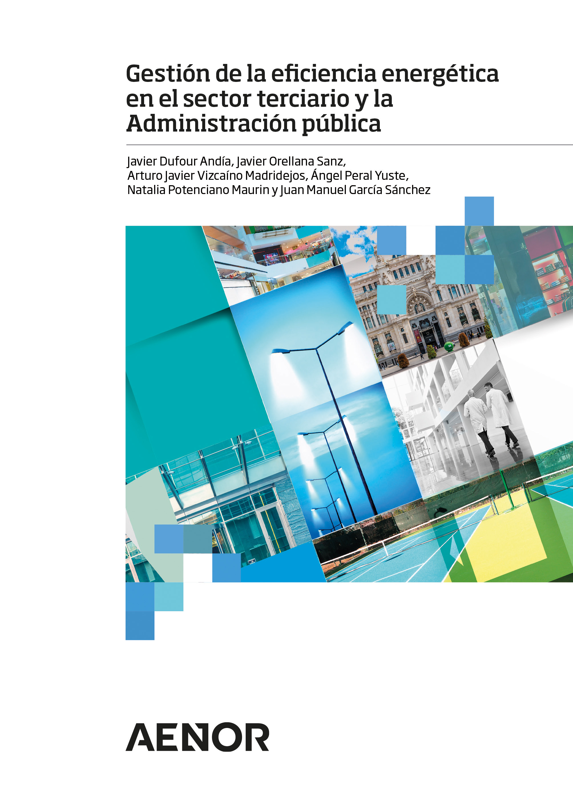 Gestión de la eficiencia energética en el sector terciario y la Administración pública