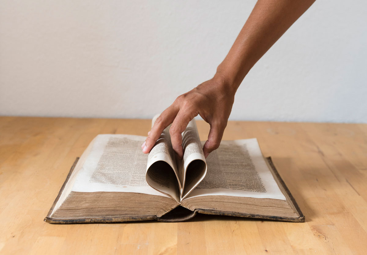 Libros que despiertan el deseo dormido