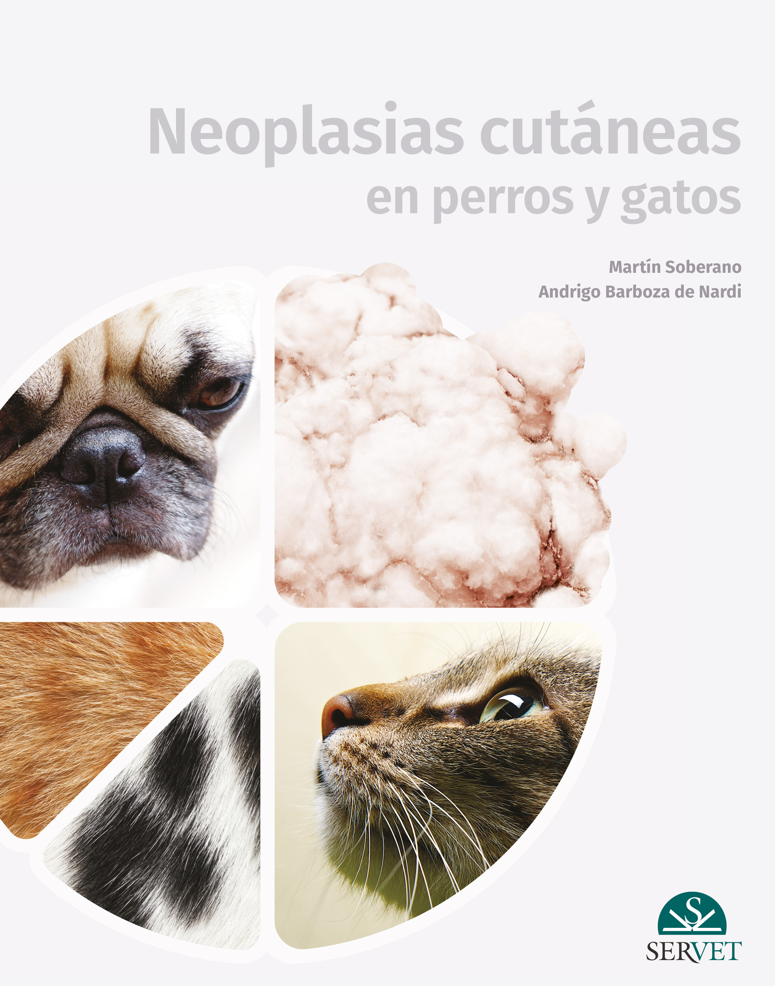 Neoplasias cutáneas en perros y gatos