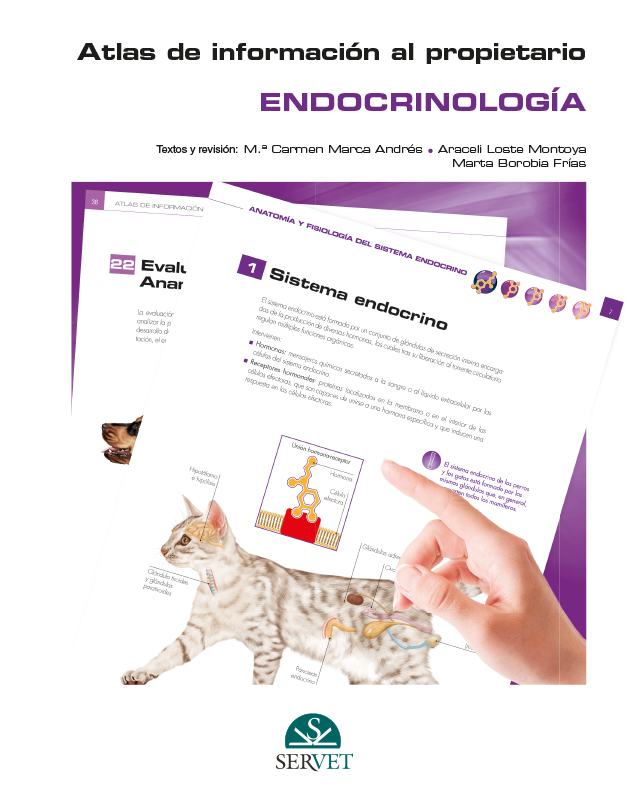 Atlas de información al propietario. Endocrinología