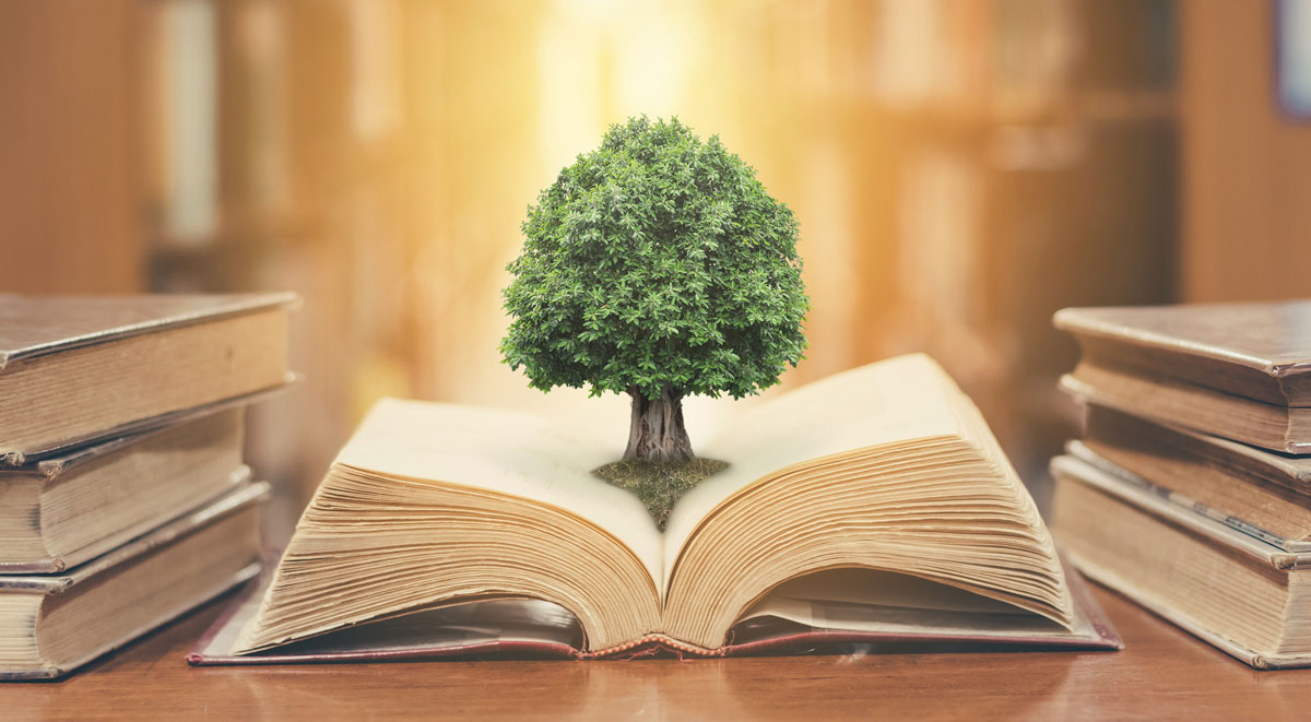 Libros para no repetir los errores de la Historia
