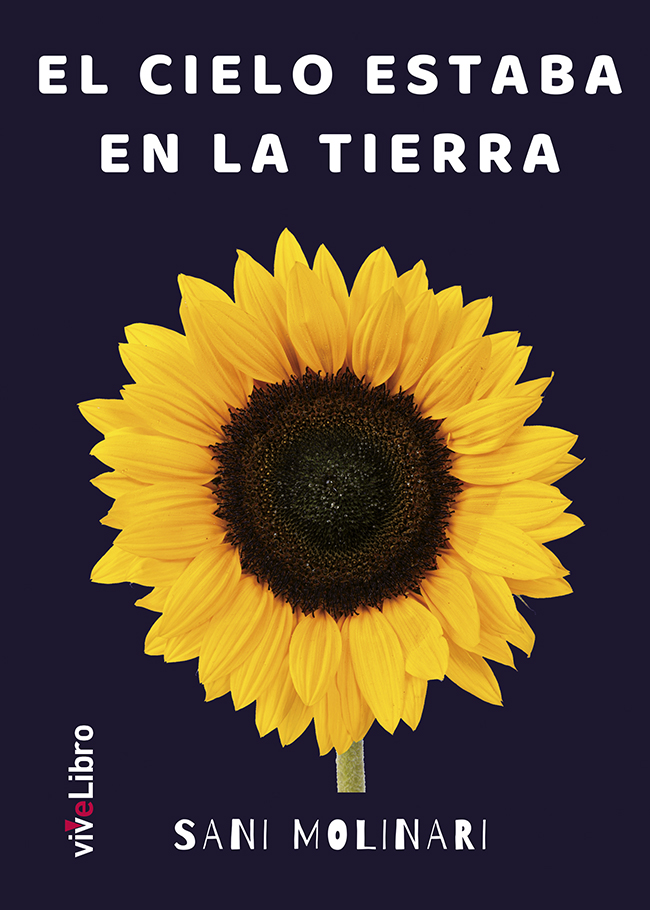 El cielo estaba en la tierra